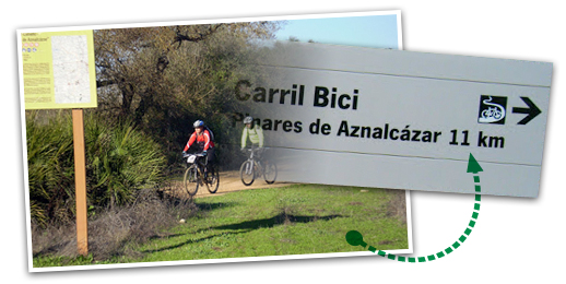 ruta en bici