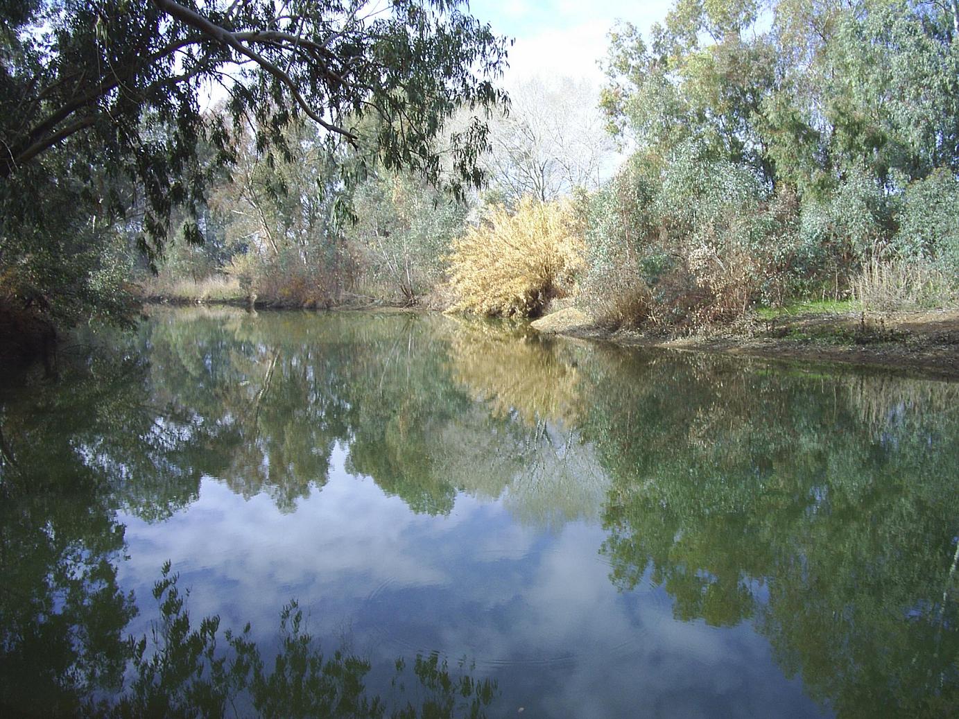 Guadiamar (5)