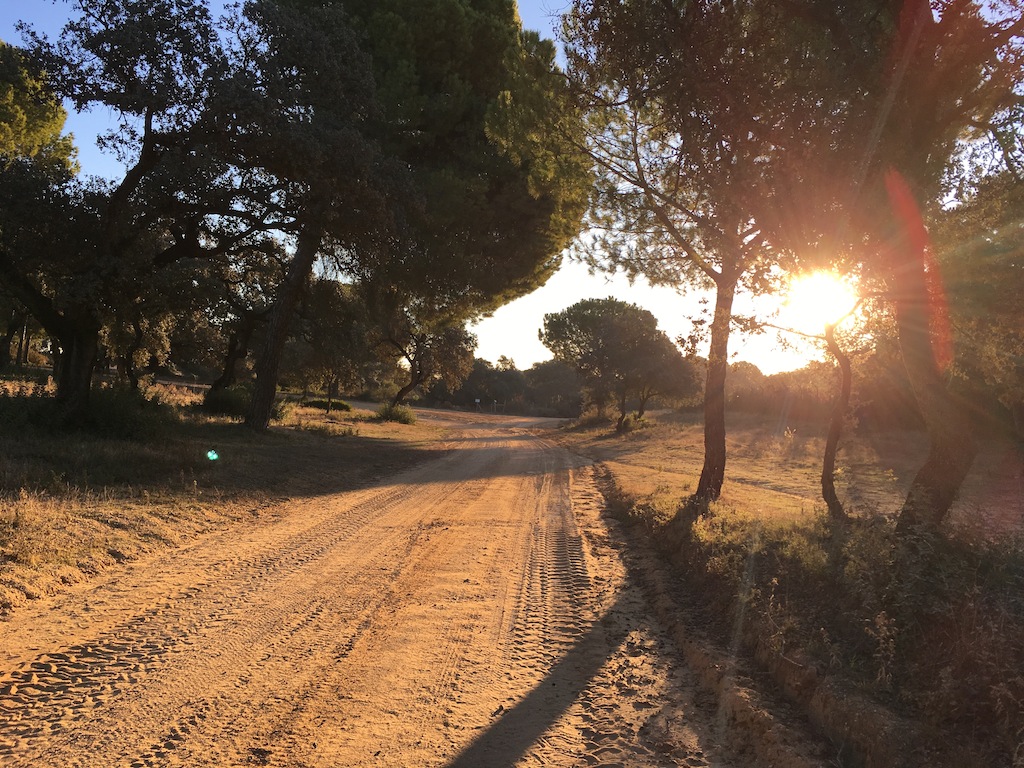 caminos