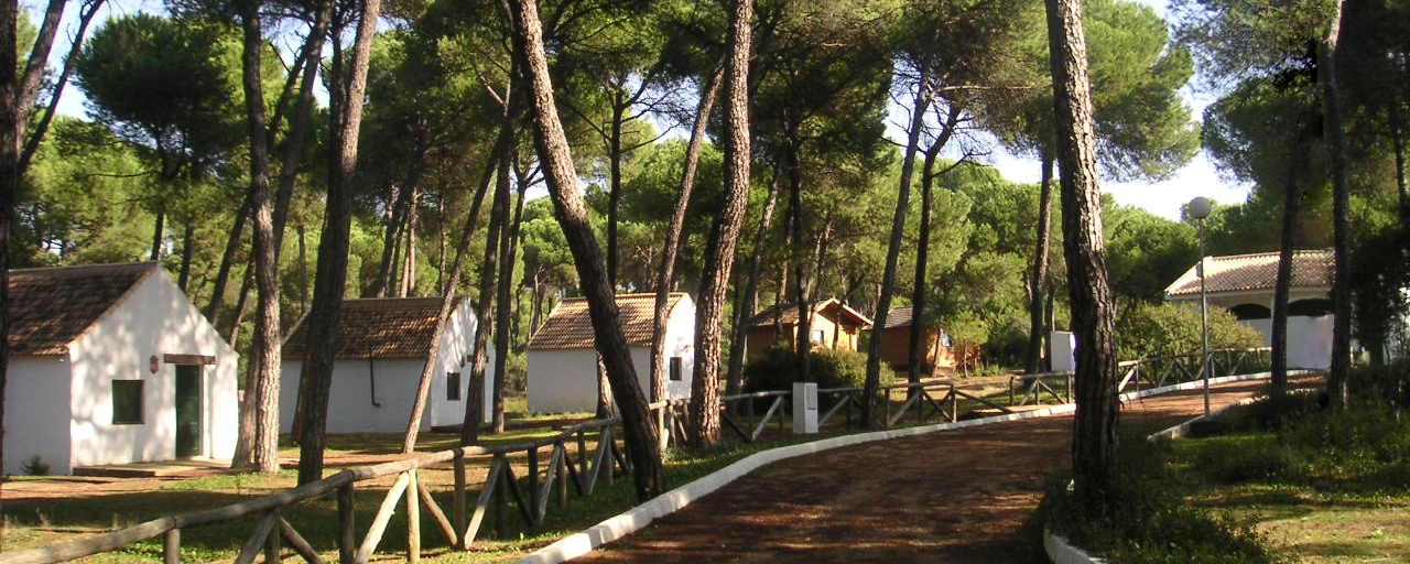 Camping «Dehesa Nueva»