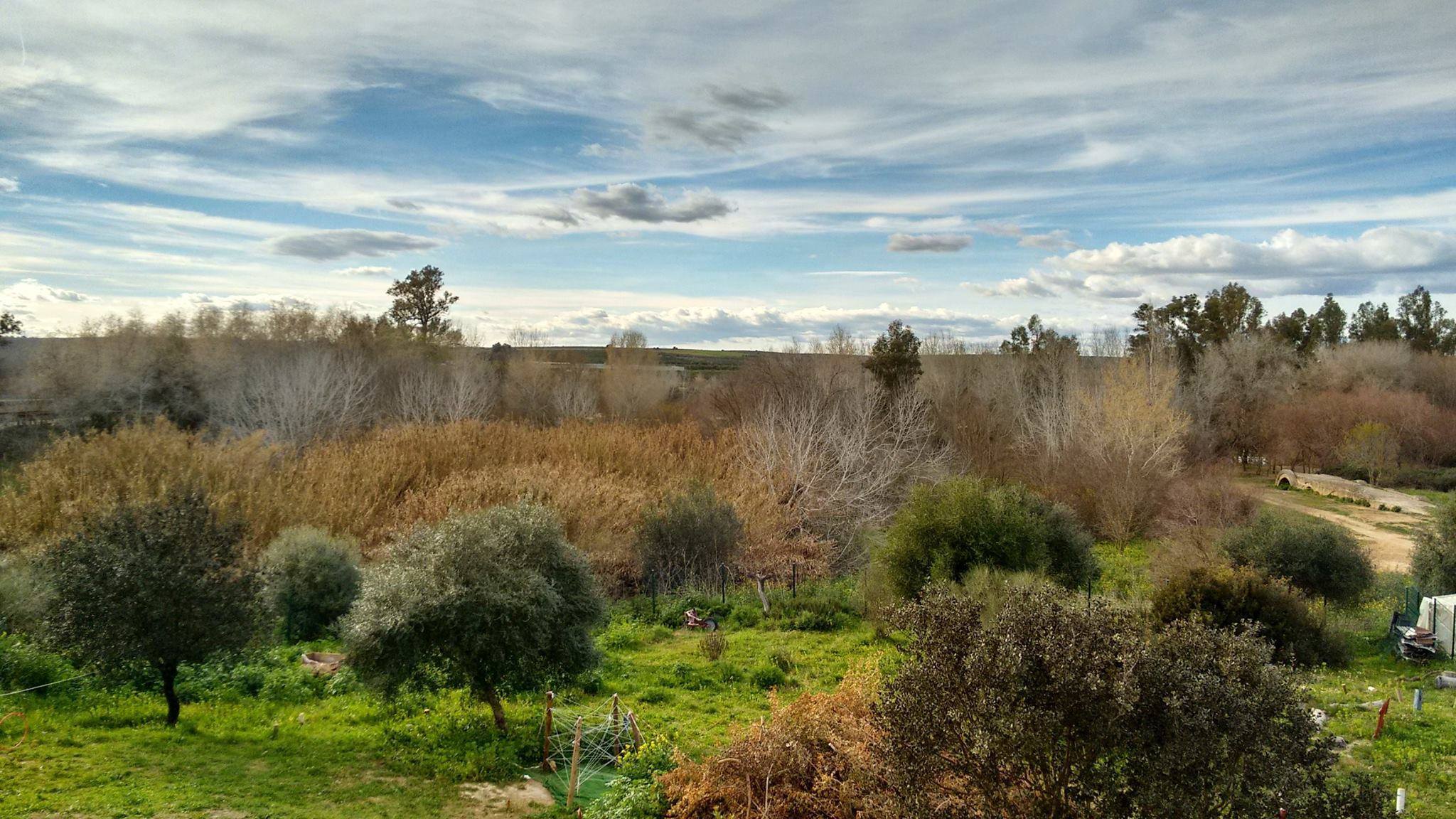 puente romano. guadiamar en invierno