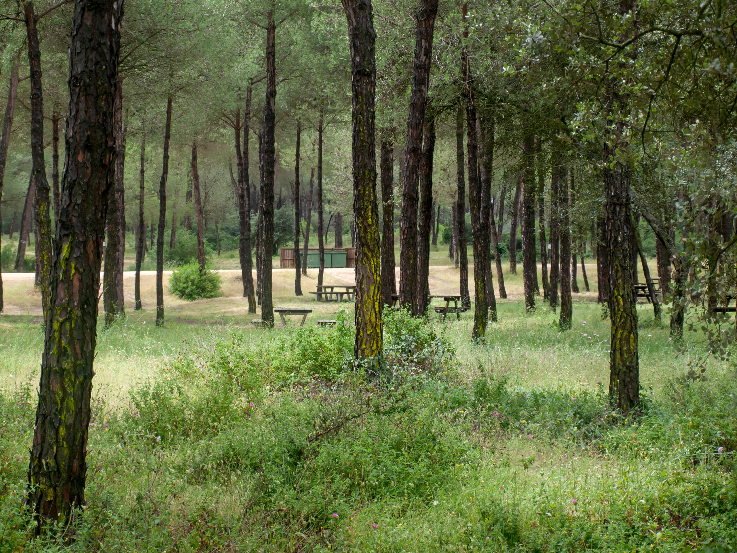 Recreational,Area,In,The,